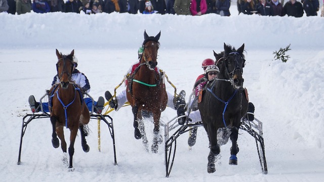 上半场第 上半场第