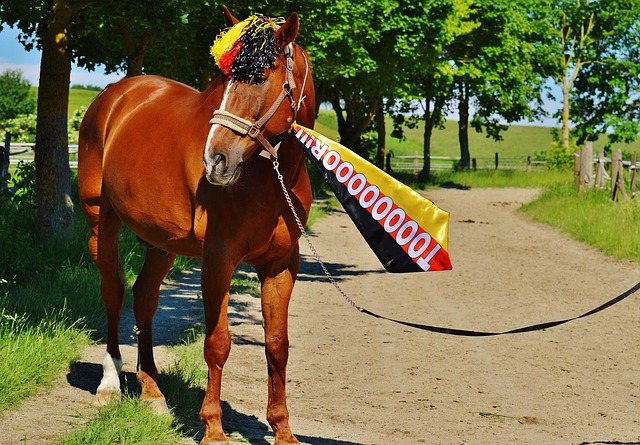 曼城并没有 曼城并没有