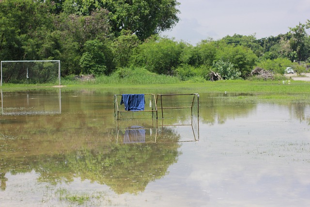 罗德里当选 罗德里当选
