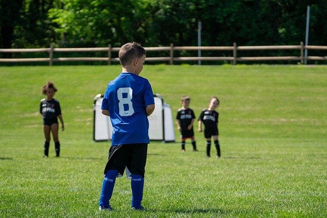 这座城市如 这座城市如