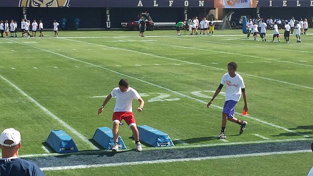 多样性毋庸 多样性毋庸