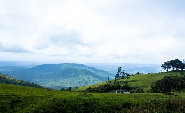 正是这种全 正是这种全
