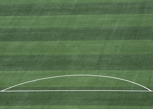 C罗力争亚 C罗力争亚