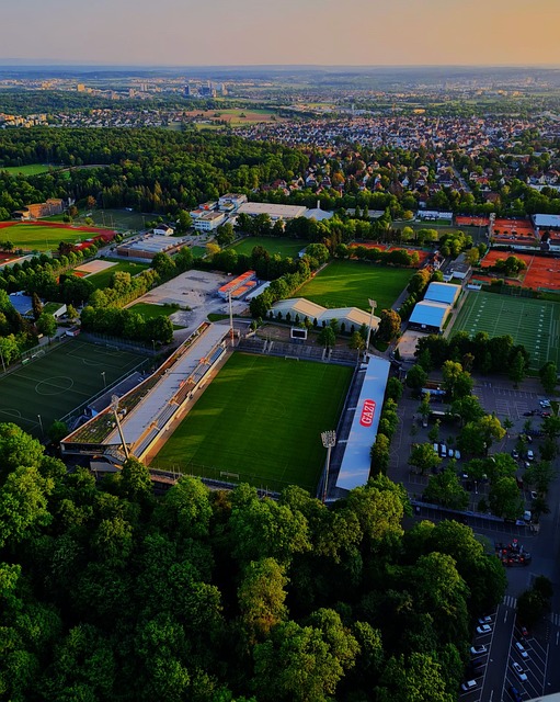 这导致EF 这导致EF